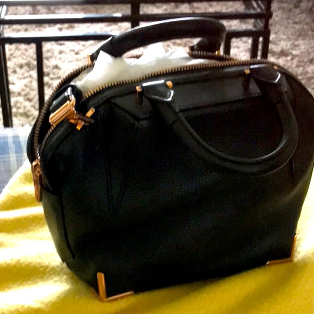 A Alexander Wang Handbag
